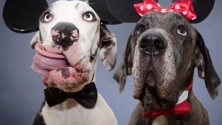 ‘熊猫体育’
预约一下 享受优质服务!(图4) panda sports