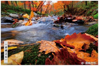 2021不平凡!中超更名不顺,中甲10队资金难题,国足遭暴击:熊猫体育